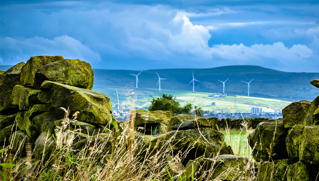 What Is Sustainable and Eco-Friendly Packaging?